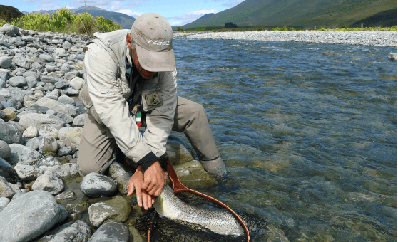 Man in fishing gear handling caught fish by rocky riverbank